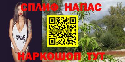 дмт Кингисепп