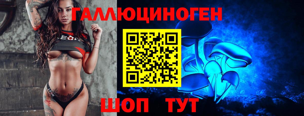 Кудрово  Галлюциногенные грибы GOLDEN TEACHER  Вход с VPN 